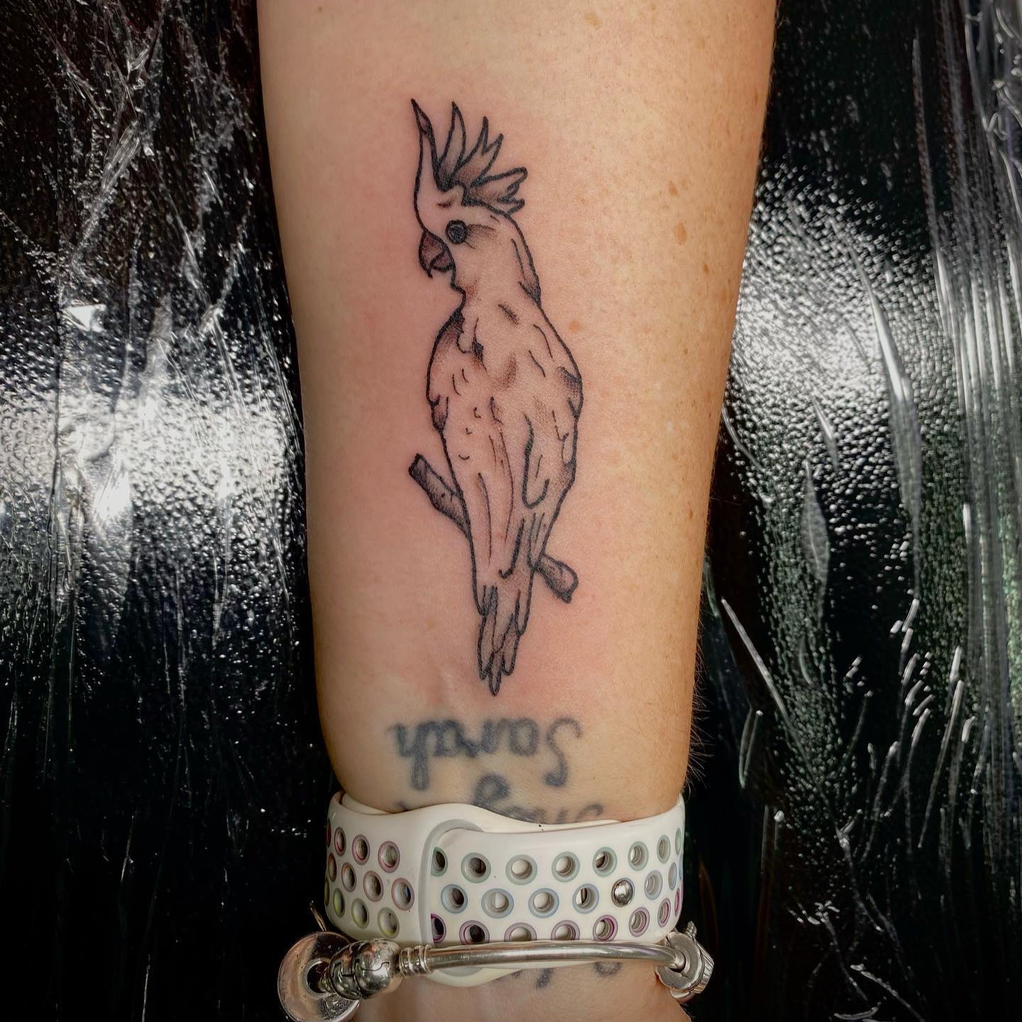 INK BY JADE